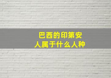 巴西的印第安人属于什么人种