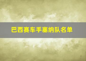 巴西赛车手塞纳队名单