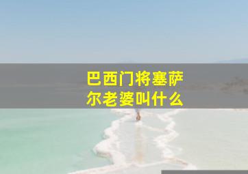 巴西门将塞萨尔老婆叫什么