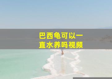 巴西龟可以一直水养吗视频