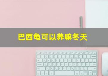 巴西龟可以养嘛冬天