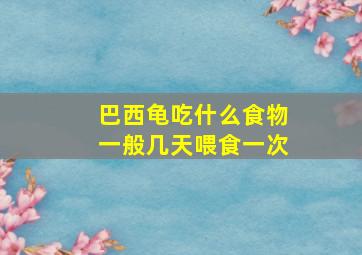 巴西龟吃什么食物一般几天喂食一次