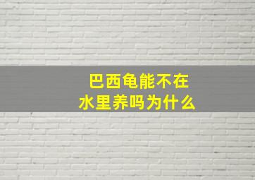 巴西龟能不在水里养吗为什么