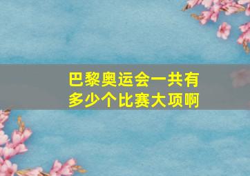 巴黎奥运会一共有多少个比赛大项啊