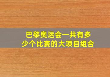 巴黎奥运会一共有多少个比赛的大项目组合