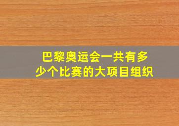 巴黎奥运会一共有多少个比赛的大项目组织