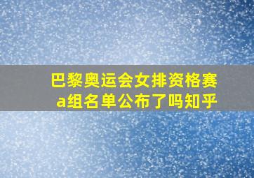 巴黎奥运会女排资格赛a组名单公布了吗知乎