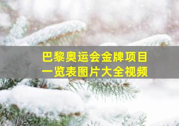 巴黎奥运会金牌项目一览表图片大全视频