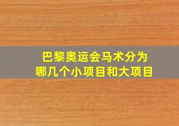 巴黎奥运会马术分为哪几个小项目和大项目