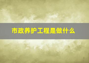 市政养护工程是做什么