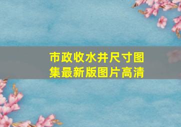 市政收水井尺寸图集最新版图片高清