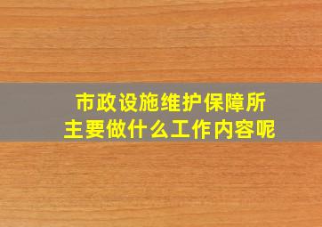 市政设施维护保障所主要做什么工作内容呢