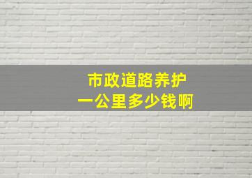 市政道路养护一公里多少钱啊