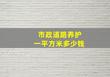 市政道路养护一平方米多少钱