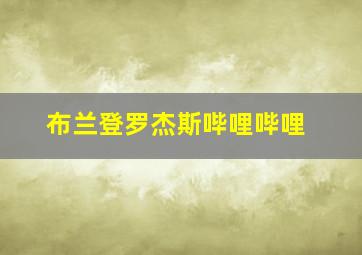 布兰登罗杰斯哔哩哔哩