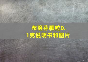 布洛芬颗粒0.1克说明书和图片