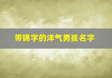 带锦字的洋气男孩名字