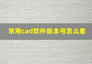 常用cad软件版本号怎么看