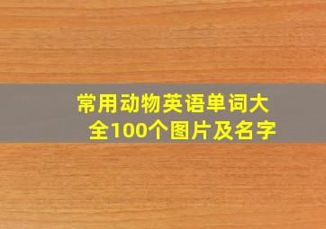 常用动物英语单词大全100个图片及名字