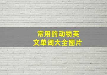 常用的动物英文单词大全图片