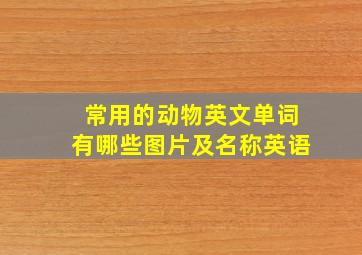 常用的动物英文单词有哪些图片及名称英语