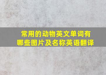 常用的动物英文单词有哪些图片及名称英语翻译