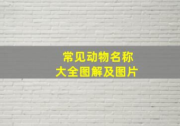 常见动物名称大全图解及图片