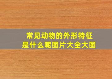 常见动物的外形特征是什么呢图片大全大图