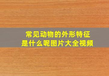 常见动物的外形特征是什么呢图片大全视频