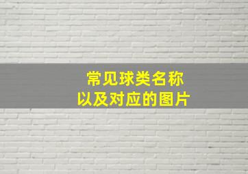 常见球类名称以及对应的图片