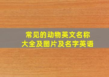 常见的动物英文名称大全及图片及名字英语