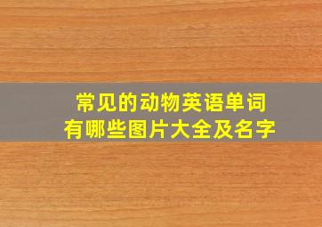 常见的动物英语单词有哪些图片大全及名字