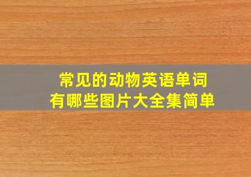 常见的动物英语单词有哪些图片大全集简单