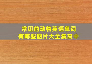 常见的动物英语单词有哪些图片大全集高中