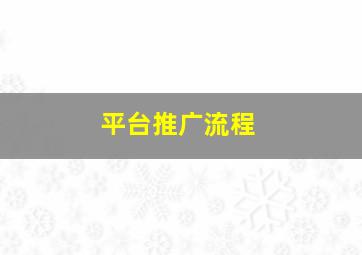 平台推广流程