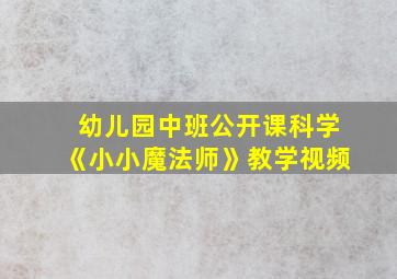 幼儿园中班公开课科学《小小魔法师》教学视频