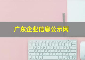 广东企业信息公示网