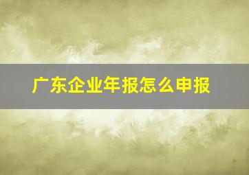 广东企业年报怎么申报