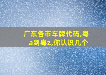 广东各市车牌代码,粤a到粤z,你认识几个