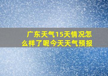 广东天气15天情况怎么样了呢今天天气预报