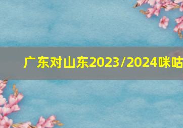 广东对山东2023/2024咪咕