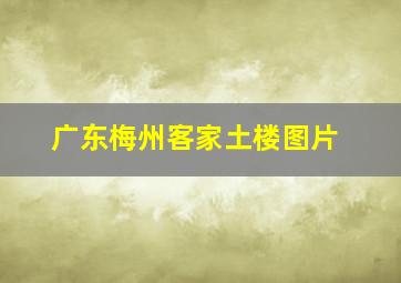 广东梅州客家土楼图片