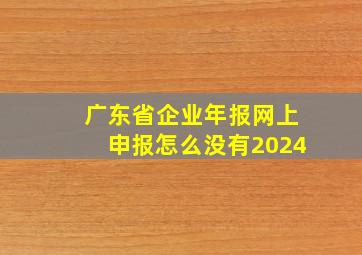 广东省企业年报网上申报怎么没有2024