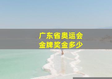 广东省奥运会金牌奖金多少