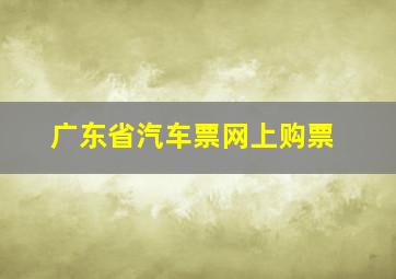 广东省汽车票网上购票