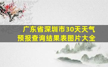 广东省深圳市30天天气预报查询结果表图片大全