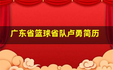 广东省篮球省队卢勇简历