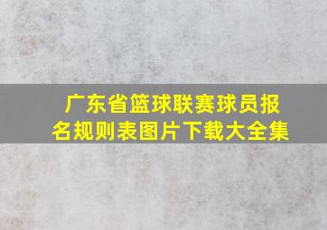 广东省篮球联赛球员报名规则表图片下载大全集