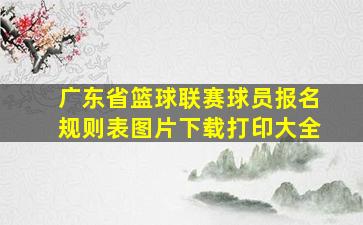 广东省篮球联赛球员报名规则表图片下载打印大全