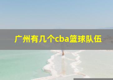 广州有几个cba篮球队伍